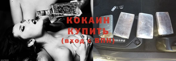 шишки Дмитриев