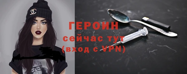 винт Ельня