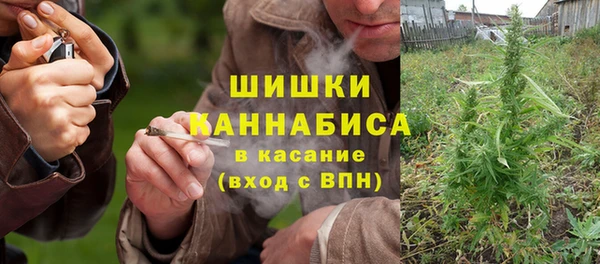 шишки Дмитриев