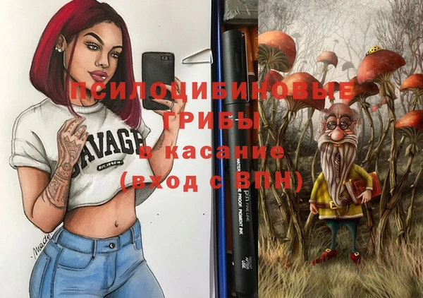 шишки Дмитриев