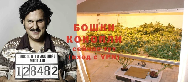 шишки Дмитриев