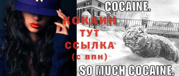 шишки Дмитриев