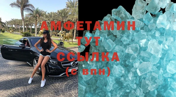 шишки Дмитриев