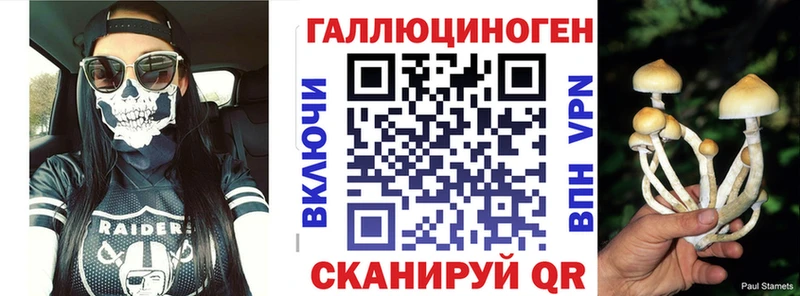 Псилоцибиновые грибы прущие грибы Правдинск